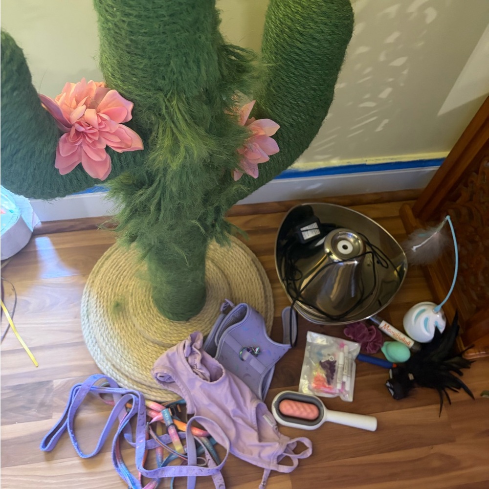 Vetreska Cactus Cat Scratching post and bundle 🐈‍⬛ 🌵